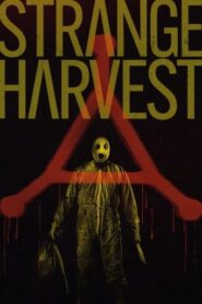 Strange Harvest (2025) Hindi Dubbed AMZN
