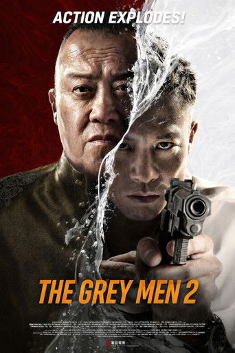 The Grey Men 2 (2025) Hindi Dubbed AMZN Poster