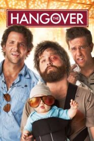 The Hangover (2009) Hindi Dubbed