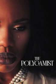 The Polygamist (2026) Hindi Season 1 Complete Netflix