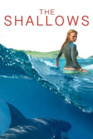 The Shallows (2016) Hindi Dubbed