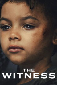 The Witness (2026) Hindi Season 1 Complete Netflix