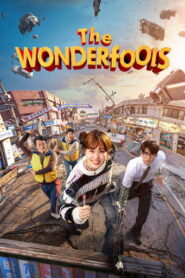 The Wonderfools (2026) Hindi Season 1 Complete Netflix