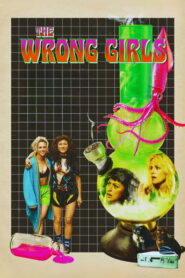 The Wrong Girls (2026) English CAMRip