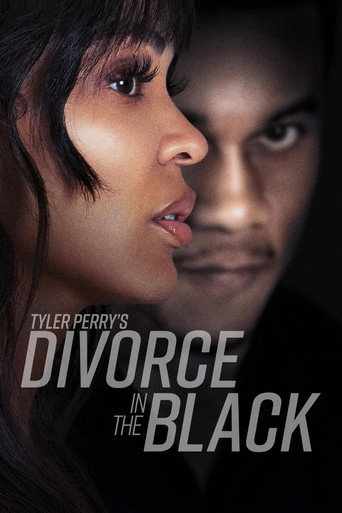 Tyler Perrys Divorce in the Black (2024) Hindi Dubbed Poster