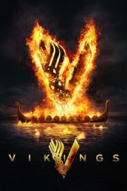 Vikings (2015) Hindi Season 3 Complete Netflix