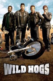 Wild Hogs (2007) Hindi Dubbed