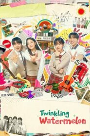 Twinkling Watermelon (2025) Hindi Season 1 Complete AMZN